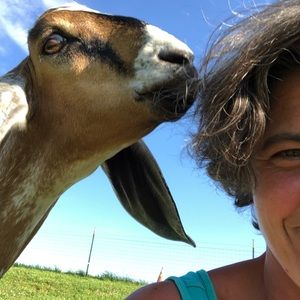 Meet your Posher, Amy jo